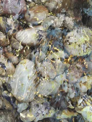 Pebbles In Clear Water