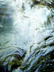 Serene Water Ripples