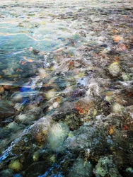 Vibrant River Flow