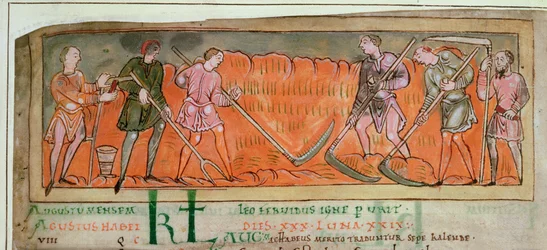 Harvesting, from a Calendar, c.1030 (detail)