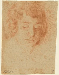 Head of a Boy (Gennaro Falcone?)