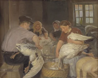 Plucking the Geese