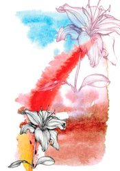 Lily