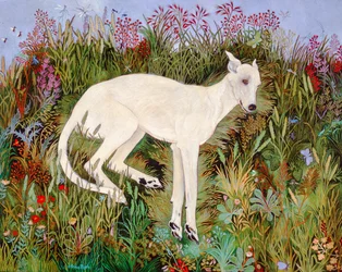 Bliss off Grass