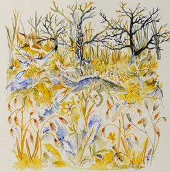 Fox in the Wood, 2023