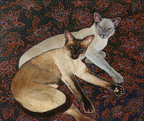 Merlin and Meilo Commission