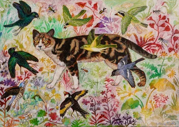 Tabby and The Birds
