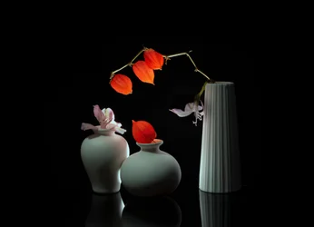Elegant Floral Still Life