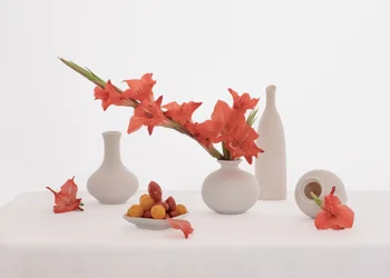 Orange Gladiolus Still Life