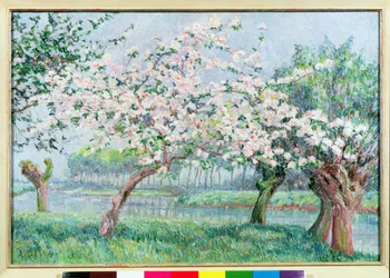 Apple Blossom on the River