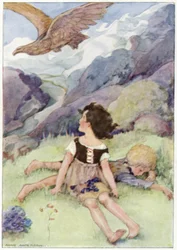 Heidi beheld the largest bird she had ever seen