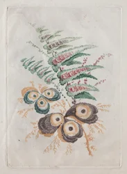 New Suite of Portfolios of Flowers Ideal to Use for Designing and Painting: Floral Fantasies