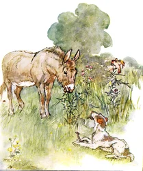 Had a talk to Ponto who came to my field with a bone