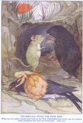 Thumbelina tends the poor bird