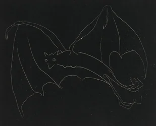 Night Series: The Bat