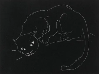 Night Series: The Cat