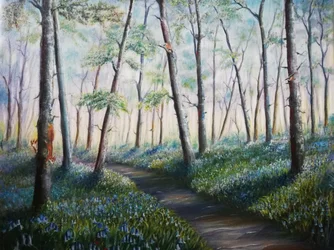 Bluebell Woodland Path
