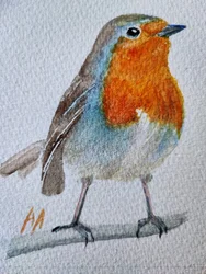 Charming Watercolor Robin