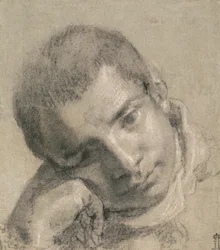 Head of a Youth