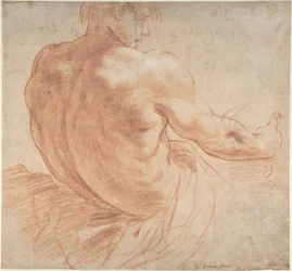 Seated Youth Facing Right, Seen from the Back