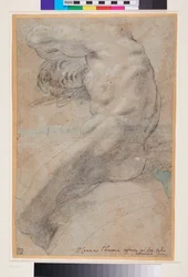 Study of a Nude Man, c.1560-1609