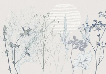 Delicate Meadow Sunlight