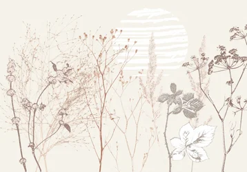 Dried Meadow Sun