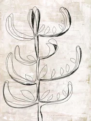 Organic Botanical Sketch