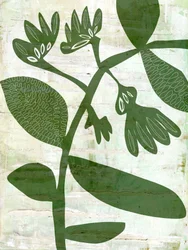 Organic Green Botanicals