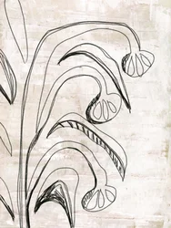 Organic Line Botanicals