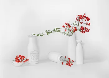 Minimalist Red Berry Display
