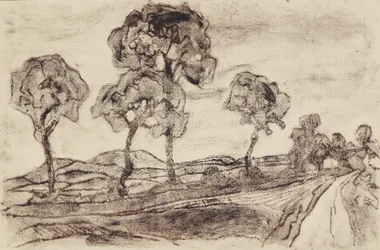 Landscape