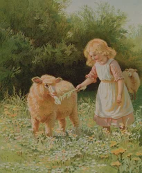 In The Meadow