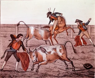 Bulls Hunting Scene