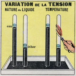 Changes in States: Vapours. Variation of Voltage Depending on the Nature of the Liquid or Temperature. Anonymous illustration from 1925. Private Collection
