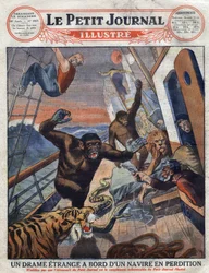 Drama about the French Liner “Saint Etienne”: Gorillas, Tiger, Lion and Snake Destined for English Zoological Gardens Escaped from Their Cage and Attacked the Crew Members. Engraving. One of “The Little Journal Illustrates”