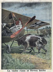 First World War 1914-1918. Cow in Russia preventing a German army aircraft from taking off. In Le Petite Journal, on 10/22/1916. Private Collection