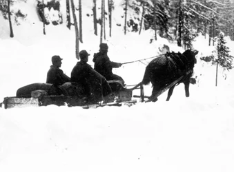 First World War, Carso Front: Italian alpine hunters carrying food on sledges