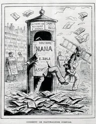 How naturalism is imposed: satirical drawing on the naturalist novel about the book 