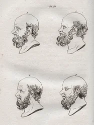 Physiognomy - Several heads of the Greek philosopher Socrates (ca. 469 BC-399 BC) - engraving of 1808 in 