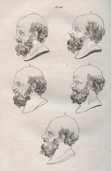 Physiognomy - Several Heads of the Greek Philosopher Socrates (ca. 469 BC-399 BC) - engraving of 1808 in 