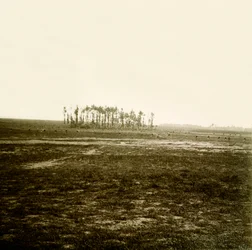 Stereoscopic glass plate on the First World War