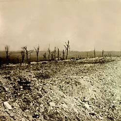 Stereoscopic glass plate on the First World War