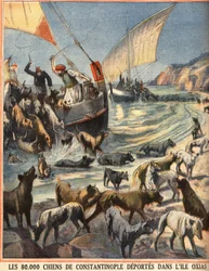 The 80,000 Stray Dogs from Constantinople Depart to the Island of Oxias (engraving)