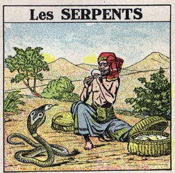 The effects of music: a charmer of cobras snakes. Anonymous illustration from 1925. Private collection.