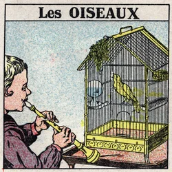 The Effects of Music: The Sound of a Flute Makes a Bird Sing in a Cage. Anonymous illustration from 1925. Private Collection