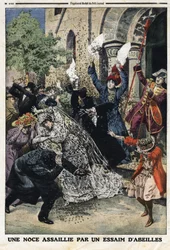 Wedding attacked by a swarm of bees. Engraving in 