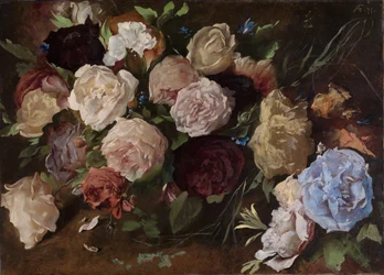 Flower Study