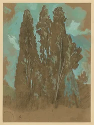 Study of Cypresses
