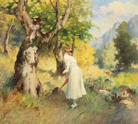 Encounter at the Forest Edge
